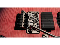 PRS SE Chleo Herman Li OD PRS SE Chleo Herman Li OD